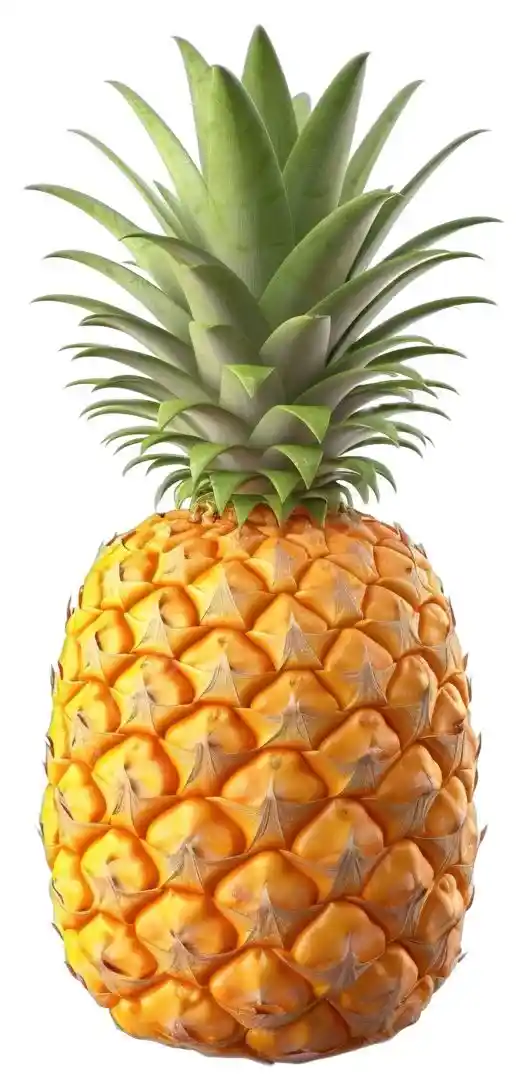 Ananas Frais