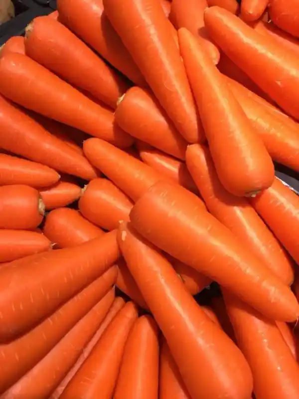 Carottes