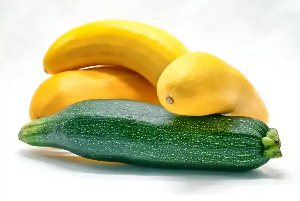 Légumes Frais
